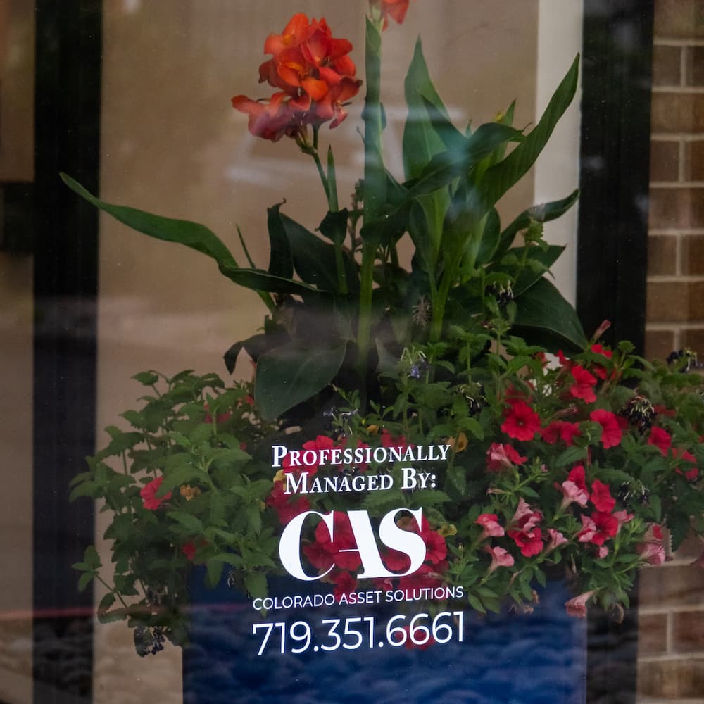 A potted plant in a blue container with text printed on the glass that reads: “Professionally Managed By: CAS Colorado Asset Solutions 719.351.6661.”.